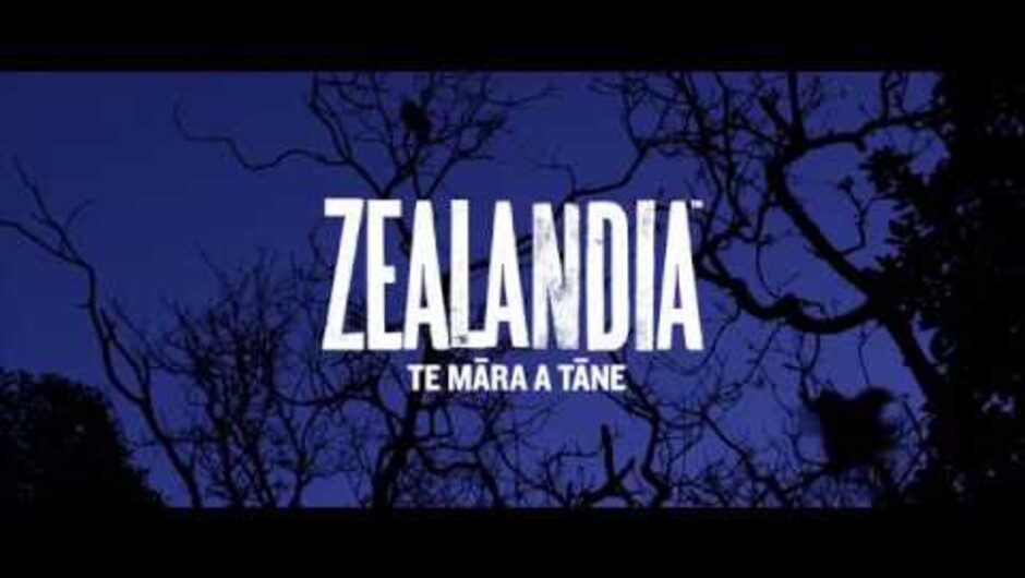 ZEALANDIA By Night tour