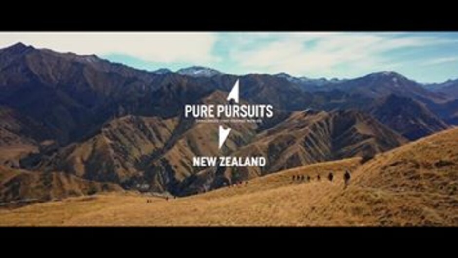 Pure Pursuits New Zealand