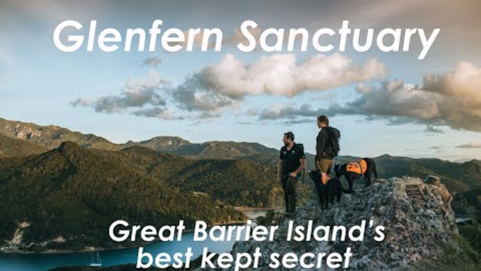 Great Barrier Island best kept secret: Glenfern Sanctuary.