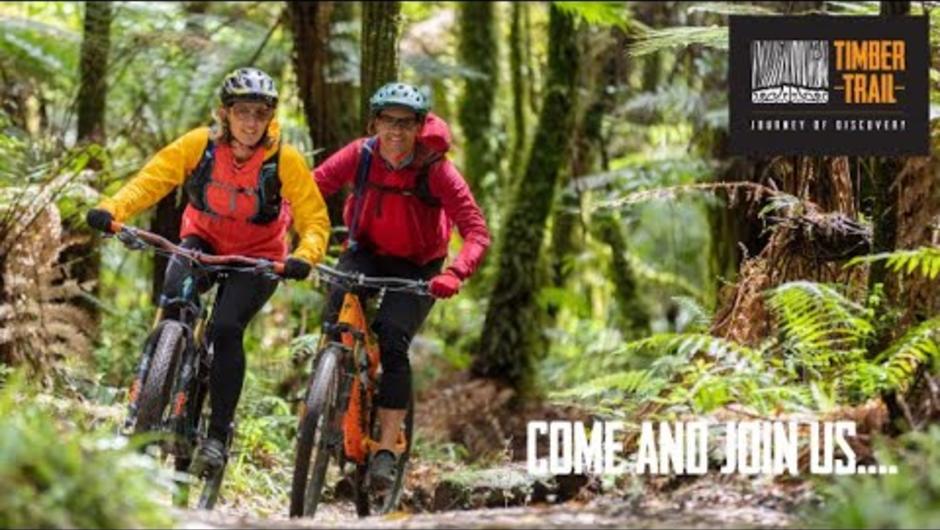The Timber Trail  - Join us for a great ride adventure in central North Island NZ&#039;s Pureora Forest