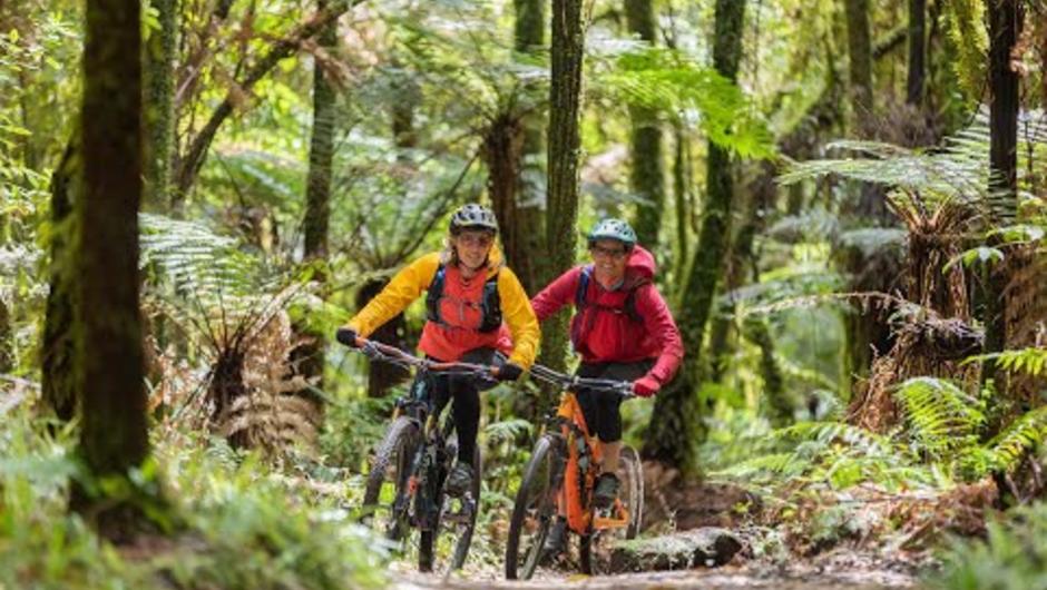 Discover the Timber Trail | the premiere cycle trail in the central north island of New Zealand