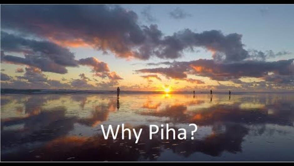Auckland’s Cheapest Full Day Trip to Piha