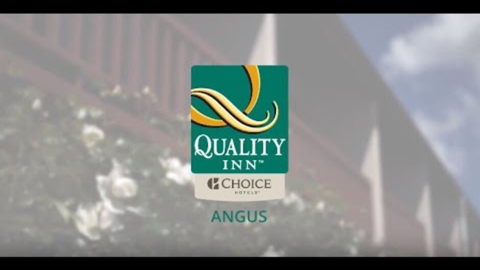 Where to go in Lower Hutt, North Island, NZ - Quality Hotel The Angus