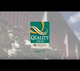 Where to go in Lower Hutt, North Island, NZ - Quality Hotel The Angus