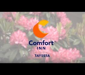 Where to go in Invercargill, South Island, NZ- Comfort Inn Tayesta