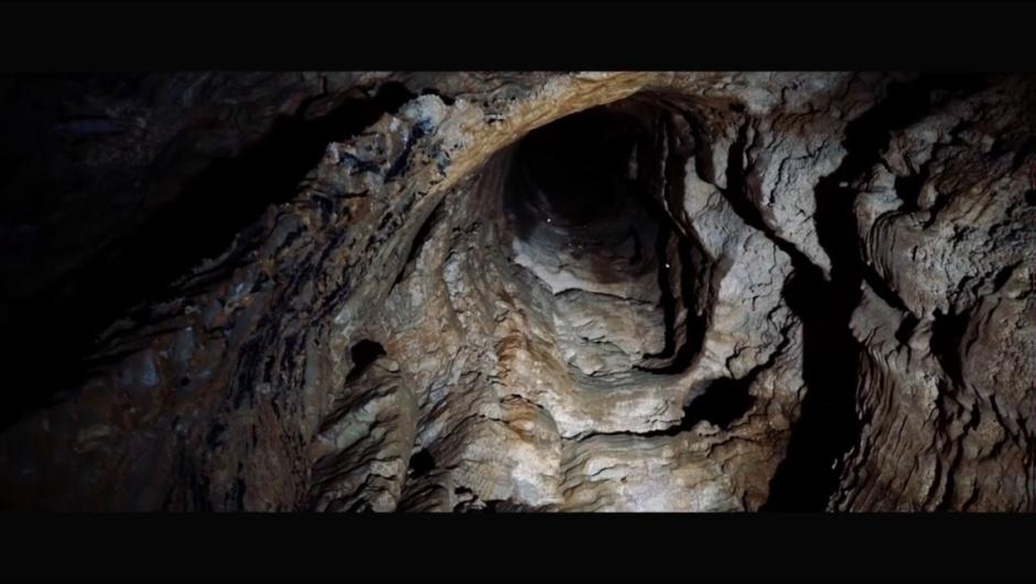 Discover Waitomo Caves New Zealand
