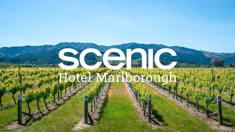 Blenheim Accommodation | Scenic Hotel Marlborough