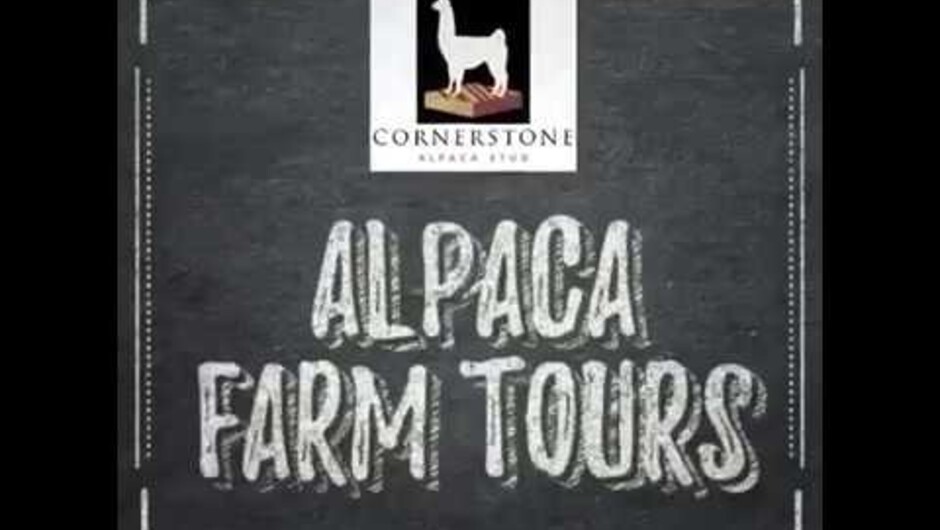 Our Alpaca Farm Tours in New Zealand
