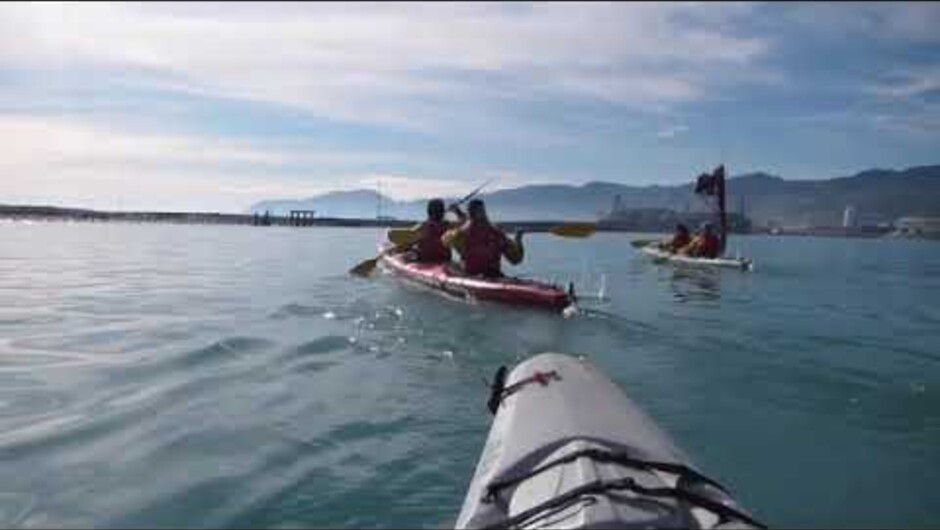 Nelson Lighthouse Sea Kayak Adventure Tour