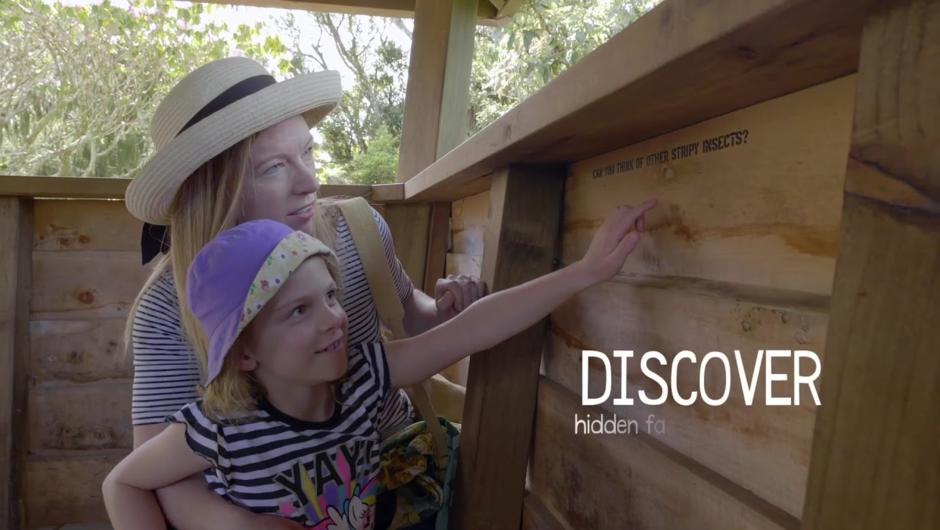 The Kids Treehouse Trail at Pukeiti