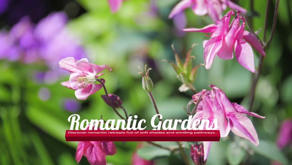Romantic Gardens at the Taranaki Fringe Garden Festival