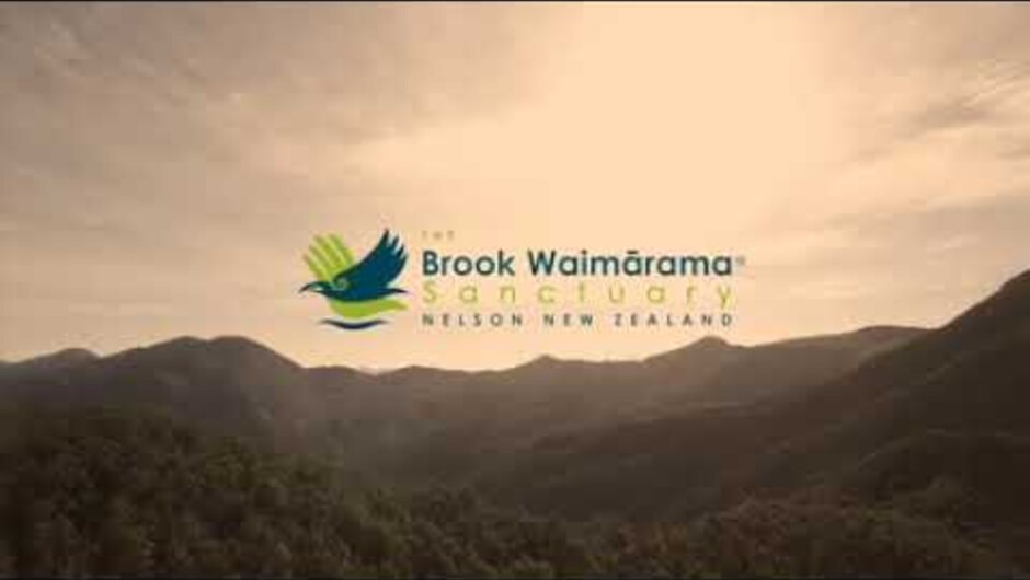 Brook Sanctuary: A generic video with volunteers talking about their work at the Sanctuary.