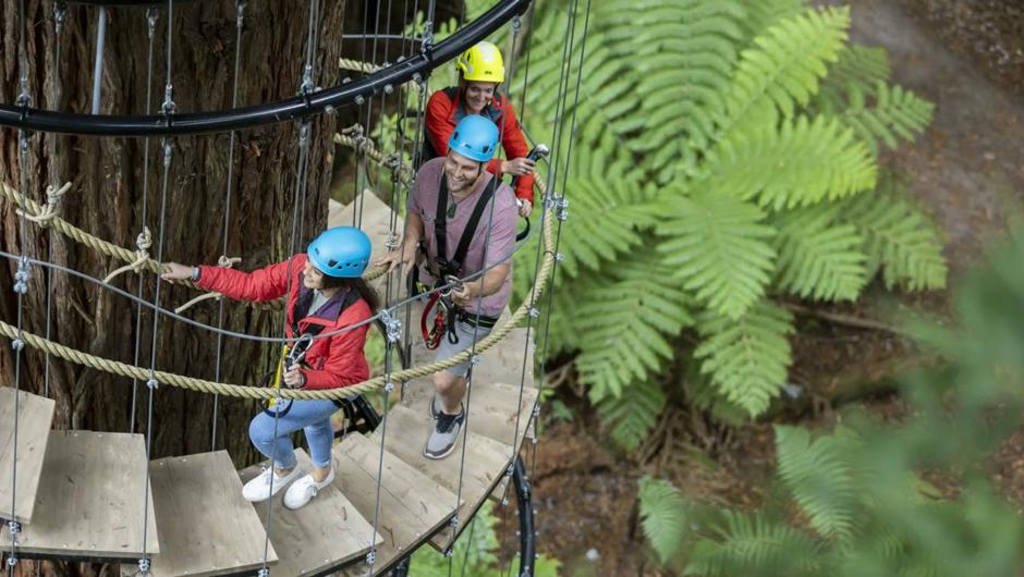 Experience Redwoods Altitude, Rotorua