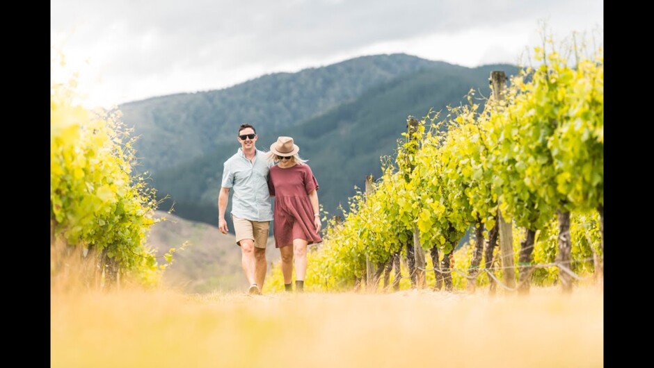 Sip Marlborough Wine Tour | Marlborough Tour Company