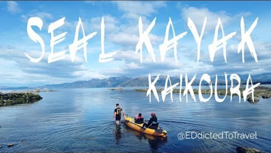 Seal Kayak Kaikoura, New Zealand - EDdictedToTravel