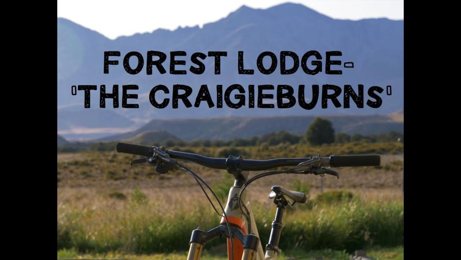 Forest Lodge, The Craigieburn Forest Park&#039;s Hidden Gem