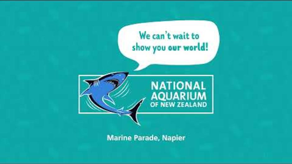 National Aquarium of New Zealand: Discover our fascinating world.