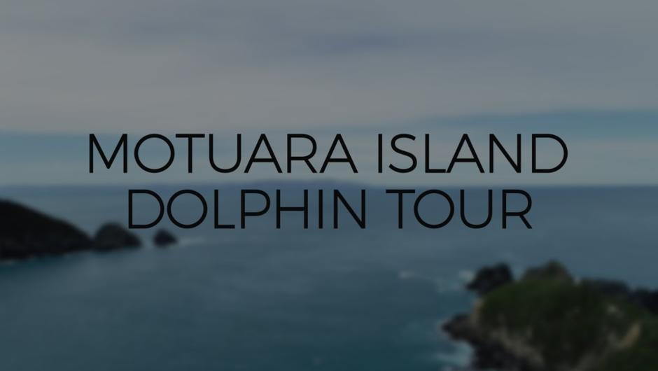 Motuara Island and Dolphin Tour with E-Ko Tours.