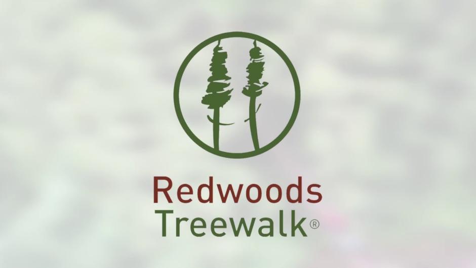 Redwoods Treewalk, Rotorua