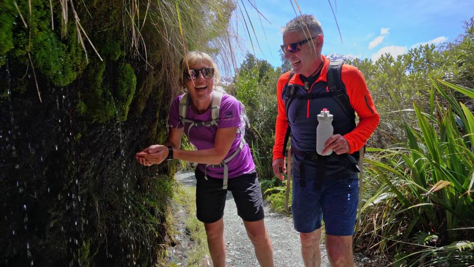 Fiordland Trips & Tramps Routeburn Track Guided Walk, journey by foot into Fiordland's main mountain divide for an incredible day out.