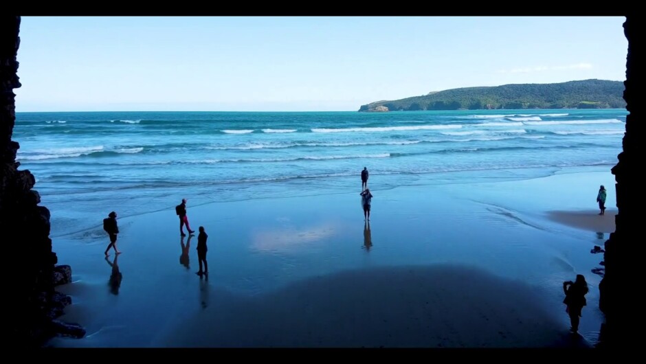 Whistling Frog resort beyond your dreams - The Catlins South Island New Zealand