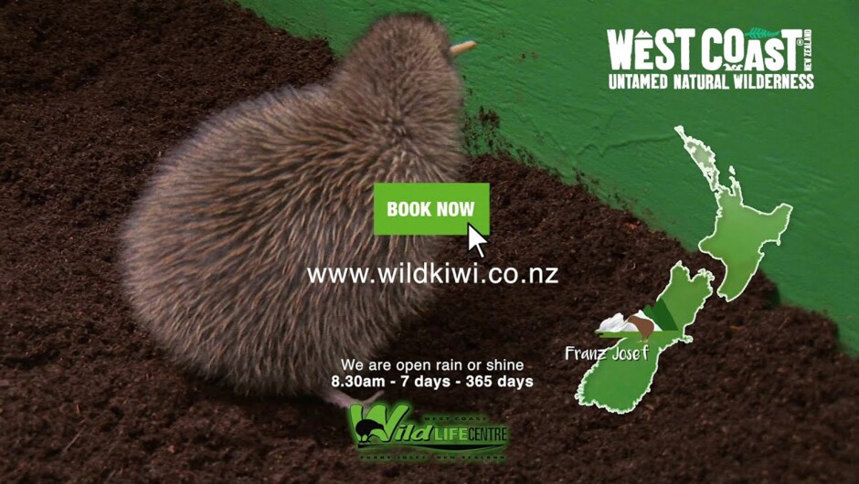 West Coast Wildlife Centre in Franz Josef - Largest Kiwi incubation and hatching facility.
