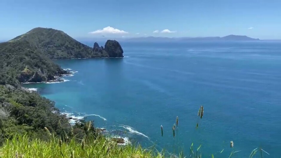 Join us on the walking holiday of a lifetime in Coromandel, New Zealand.
This all-inclusive hiking tour package samples the best hiking trails with nutritious meals, great company and friendly guides.