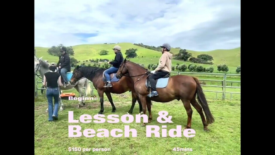 Waiheke Horses beginners lesson beach ride