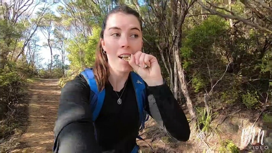 Coromandel Coastal Walkway Hike & Bike Combo - Hike the Coastal Walkway 10kms and eBike the beautiful coast road home (up to 36kms).