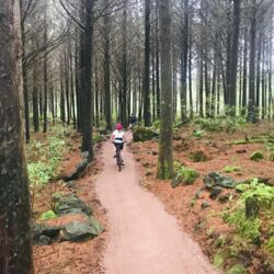 Riding on Wairoa Road Link 