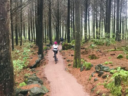 Riding on Wairoa Road Link 