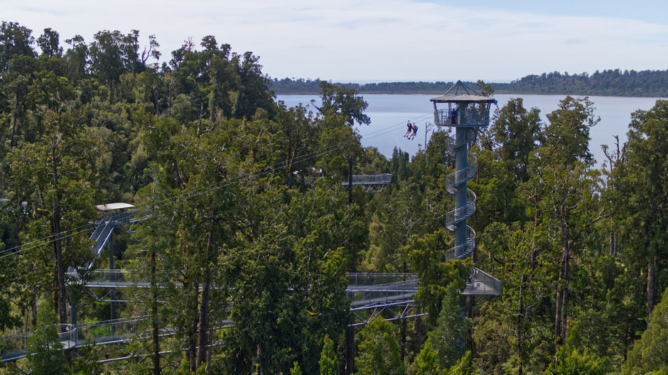 People zip lining at West Coast Tree Tops Ziplining and Walkway