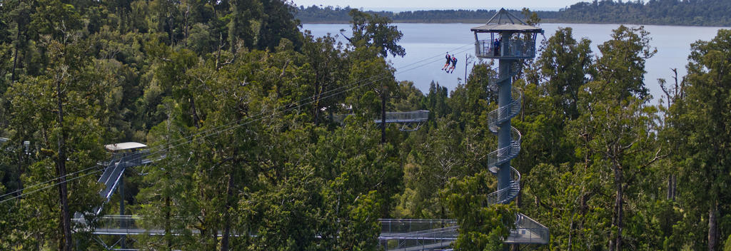 People zip lining at West Coast Tree Tops Ziplining and Walkway