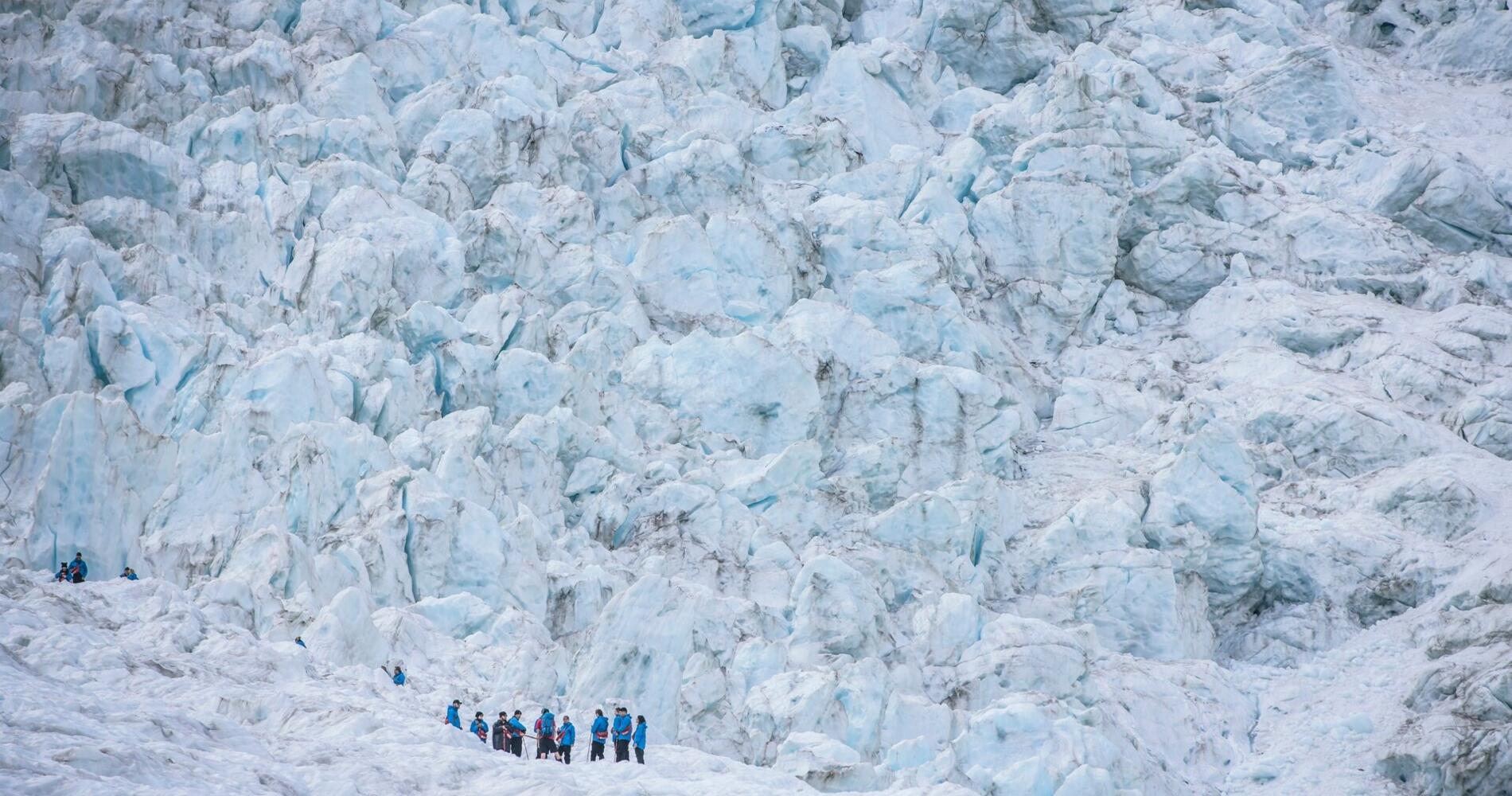 ウエストコーストの氷河 | ウエストコースト, ニュージーランド