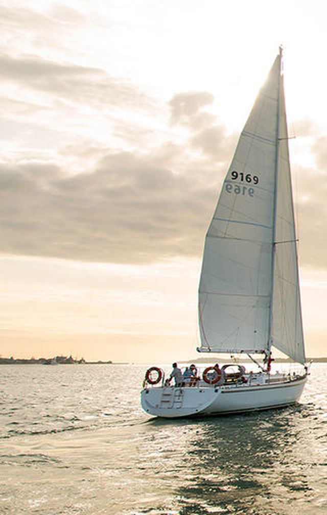 Explore Auckland's sparkling harbour