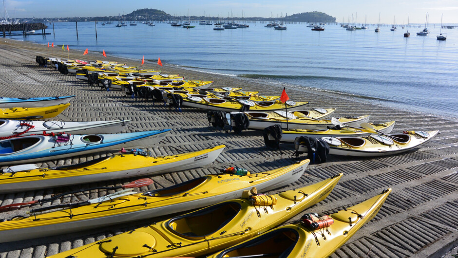 Our fleet of kayaks on the ramp at Fergs Kayaks base in Okahu Bay.