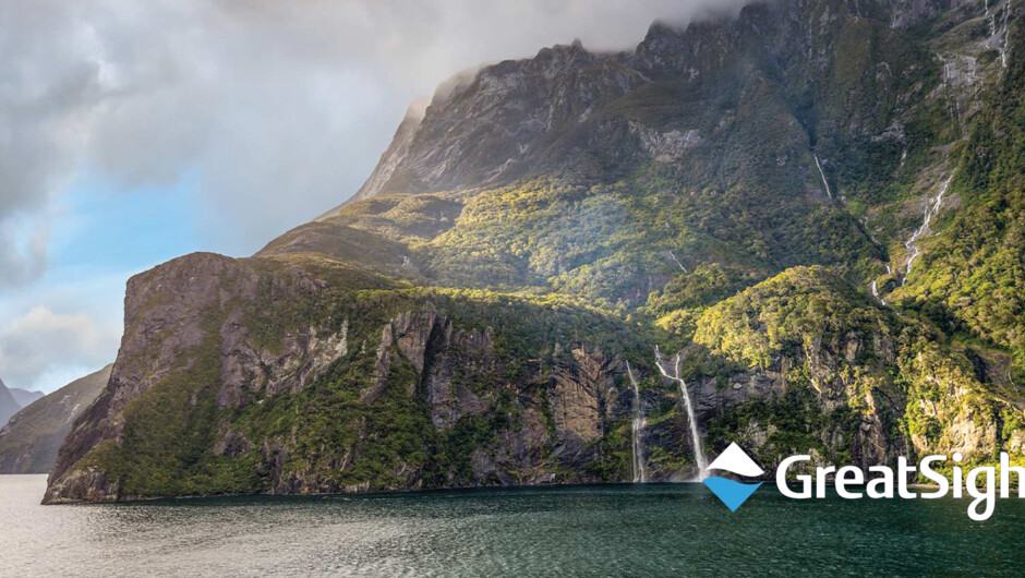 Learn about Milford Sound from a local expert on your cruise