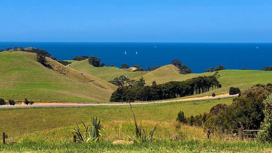 Views to the Pacific Ocean from Te Kahu.