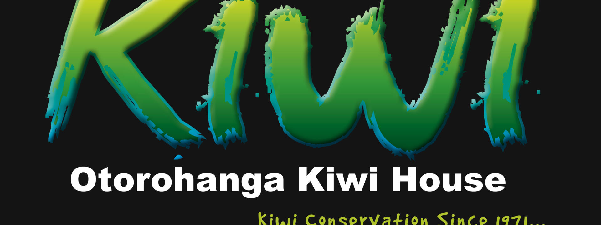 kiwi-conserv-1971-black_0.jpg