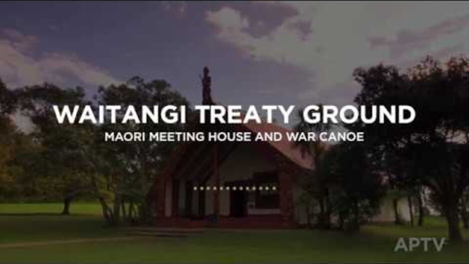 APT's New Zealand - Waitangi Treaty Ground
