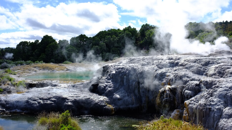Te Puia, Rotorua