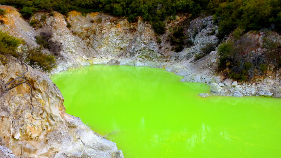 Devil's Bath, Waiotapu, Rotorua