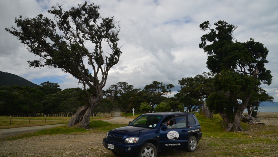 Rental cars not allowed: the rugged Northern Coromandel.