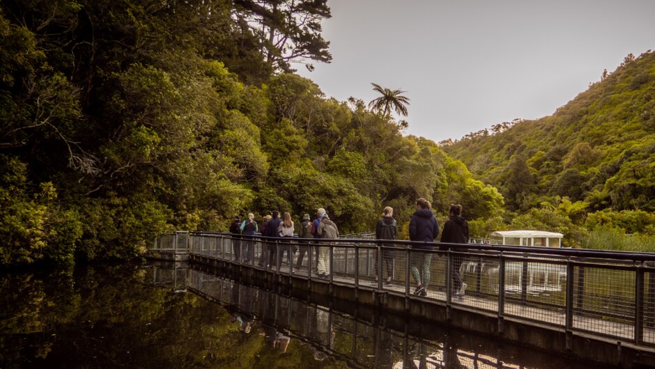 Tour group on the lower lake at ZEALANDIA.