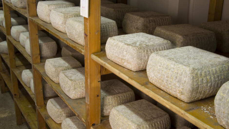 Cheeses quietly ripening - waiting for my next tasting.