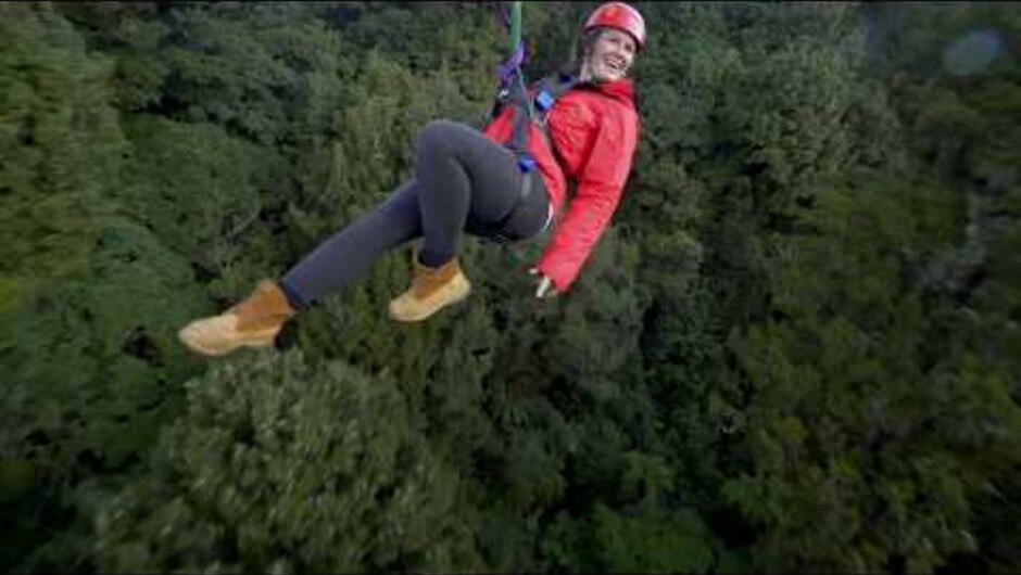 The Ultimate Canopy Tour is an incredible way to experience ancient New Zealand forest.