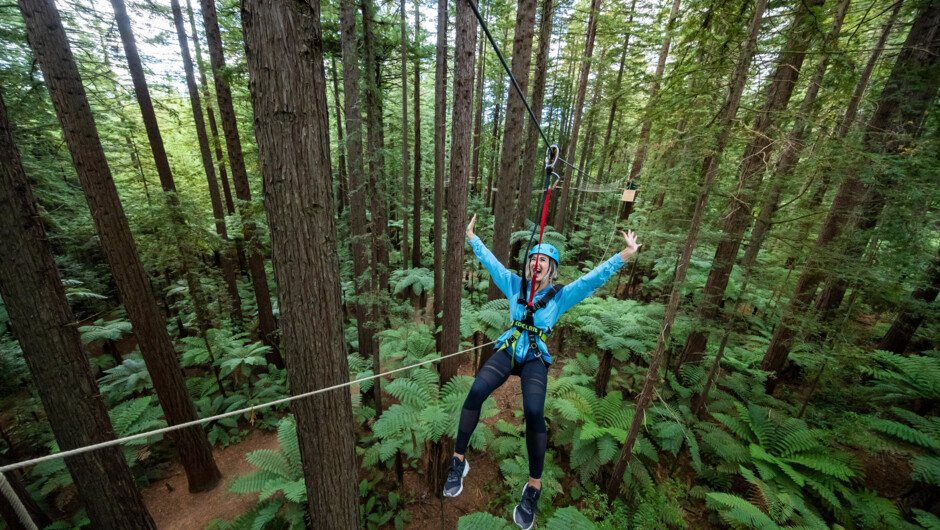 Three exhilarating flying foxes dot the Altitude course - you'll feel like you're flying amidst a green forest canopy.