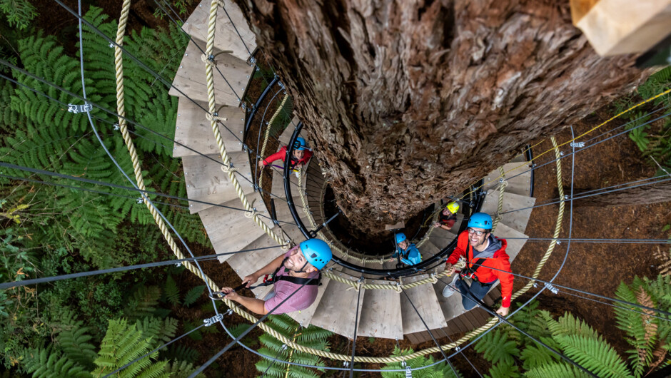 Altitude is the ultimate way to take your Redwoods experience to the next level.
