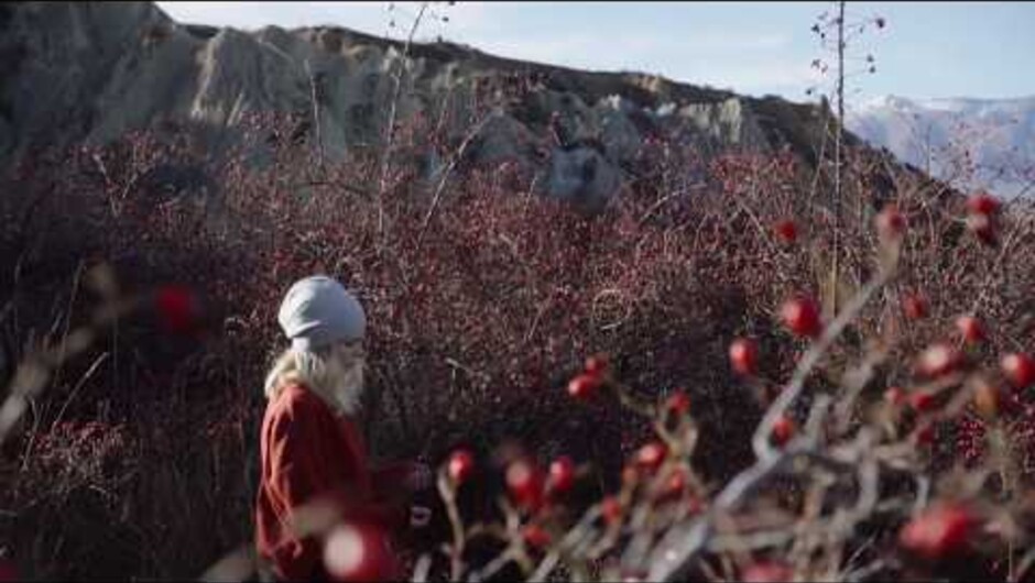 South Island Winter Adventure