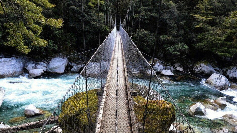 Rainforest suspension bridge.